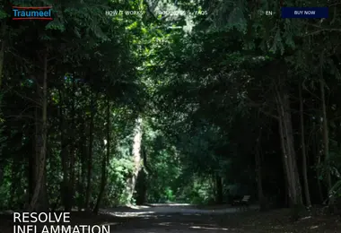 Скриншот traumeel.ge