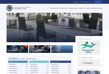 Screenshot of treasury.ge