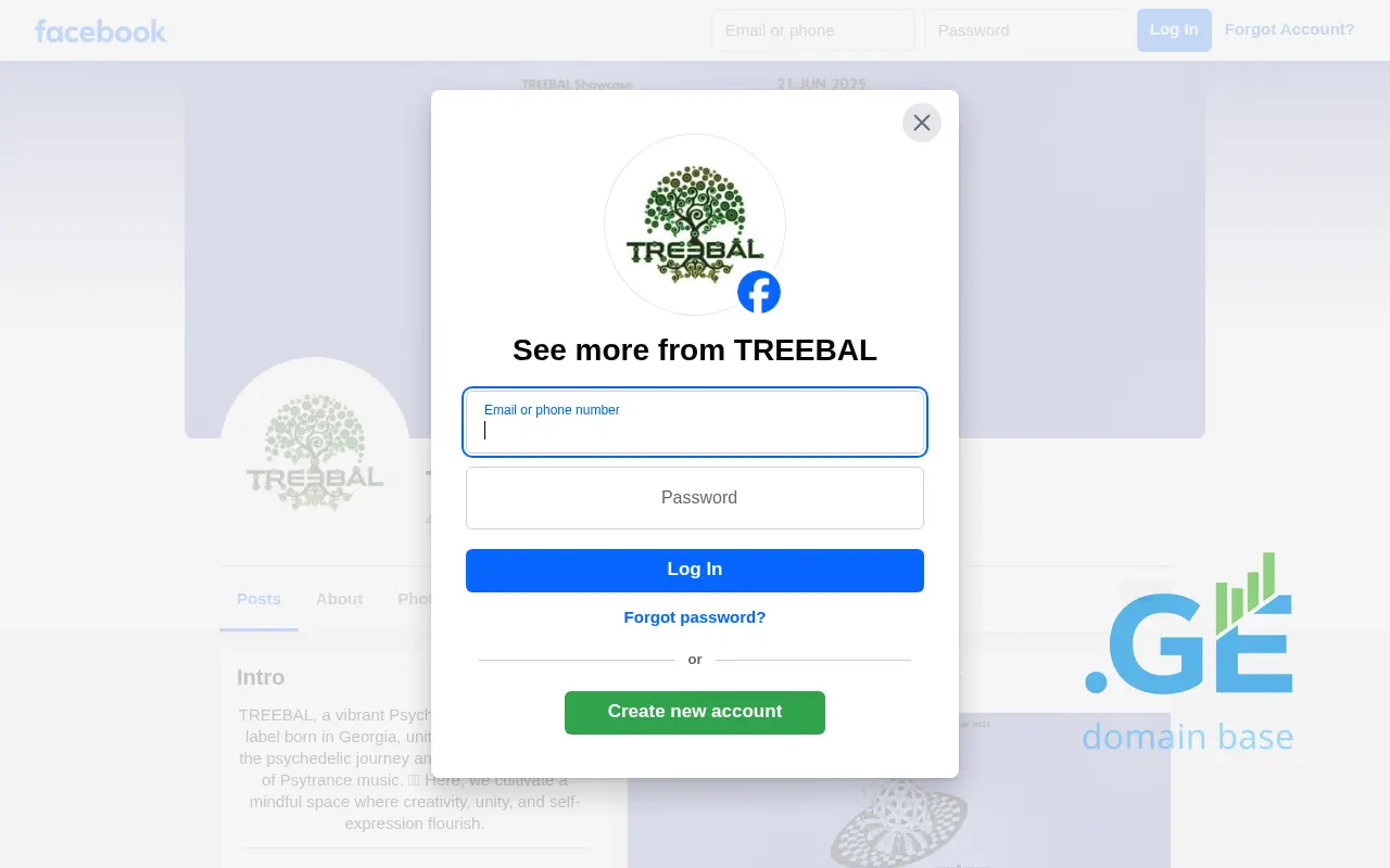 Screenshot of the site treebal.ge