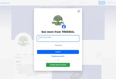 Screenshot of treebal.ge