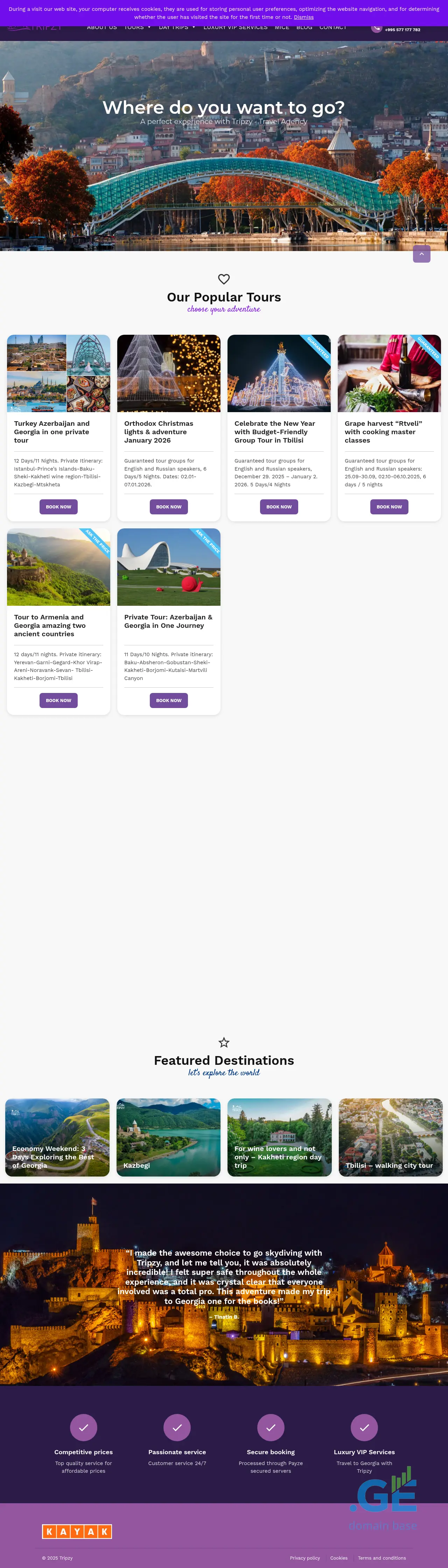 Screenshot of the site tripzy.ge