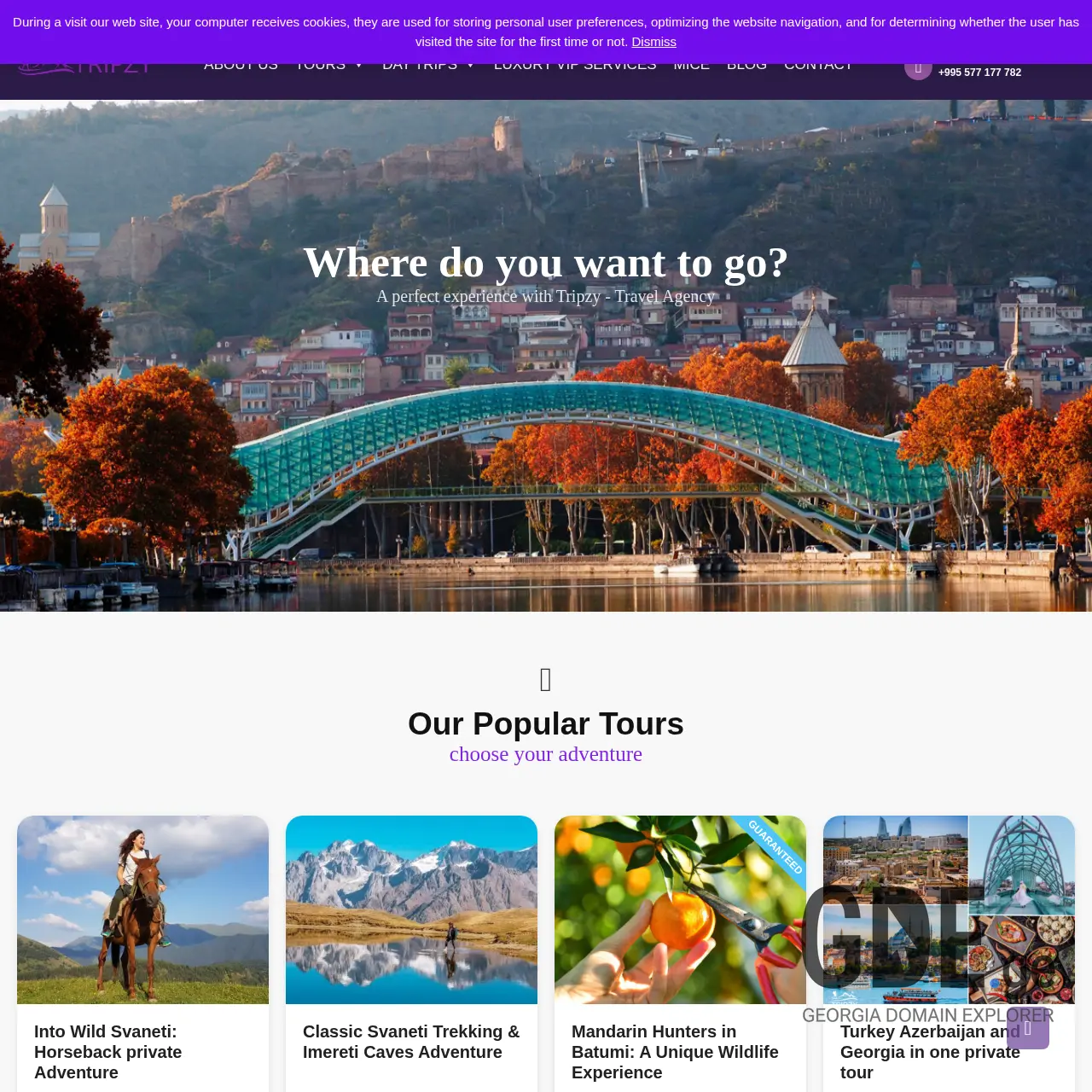 Screenshot of the site tripzy.ge at 2025-12-13