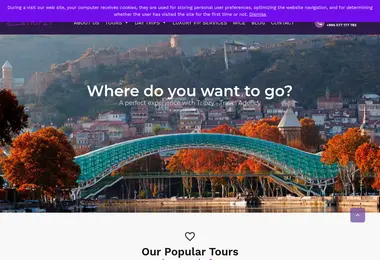 Screenshot of tripzy.ge