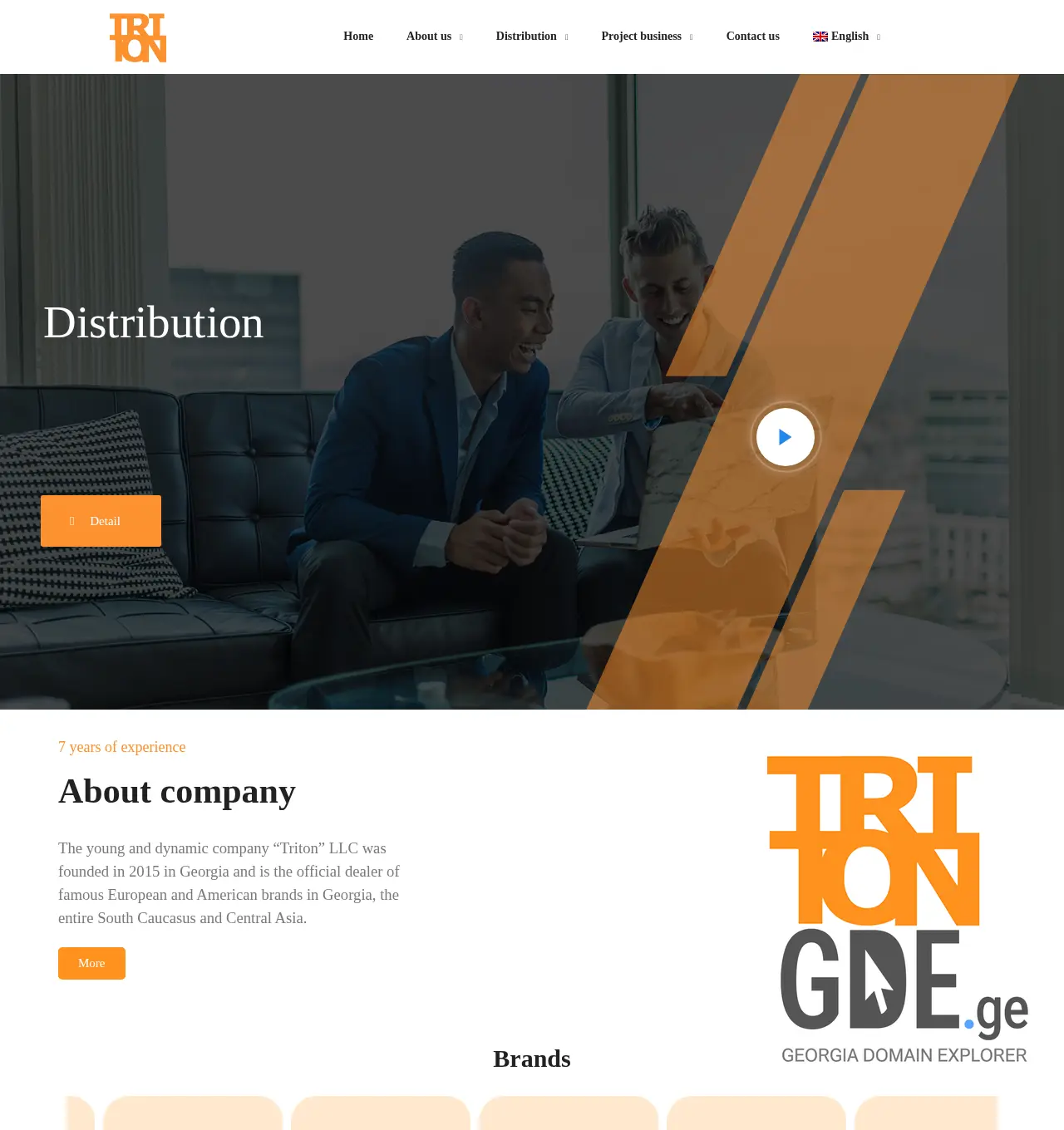 Screenshot of the site triton.ge at 2025-12-03