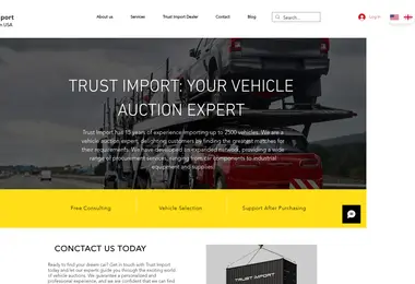 Скриншот trustimport.ge