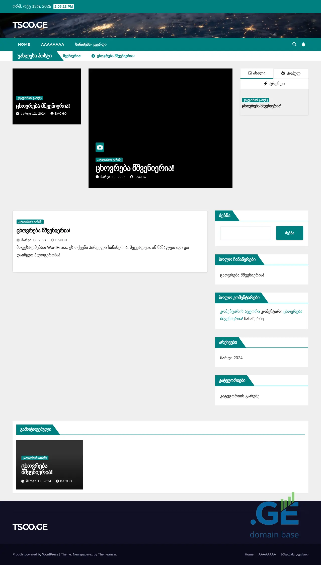 Screenshot of the site tsco.ge