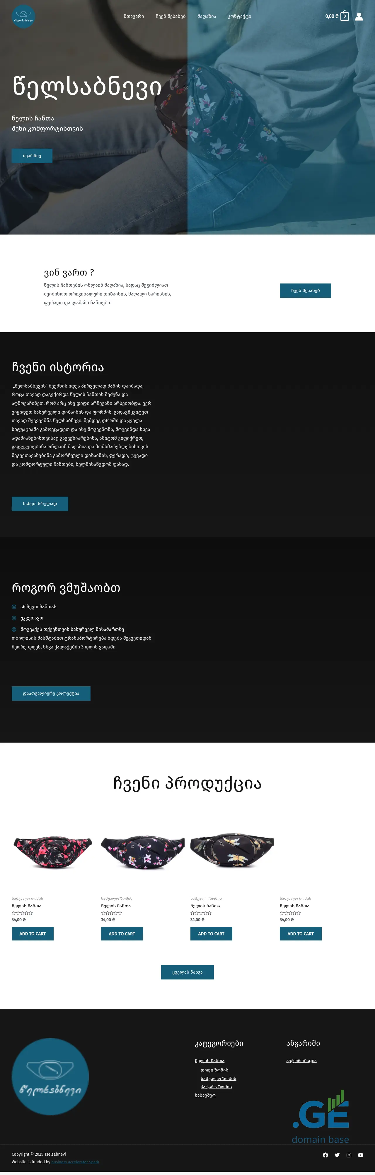 Screenshot of the site tselsabnevi.ge
