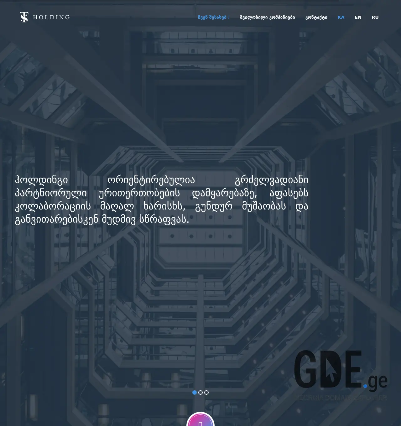 Screenshot of the site tsholding.ge at 2025-11-29