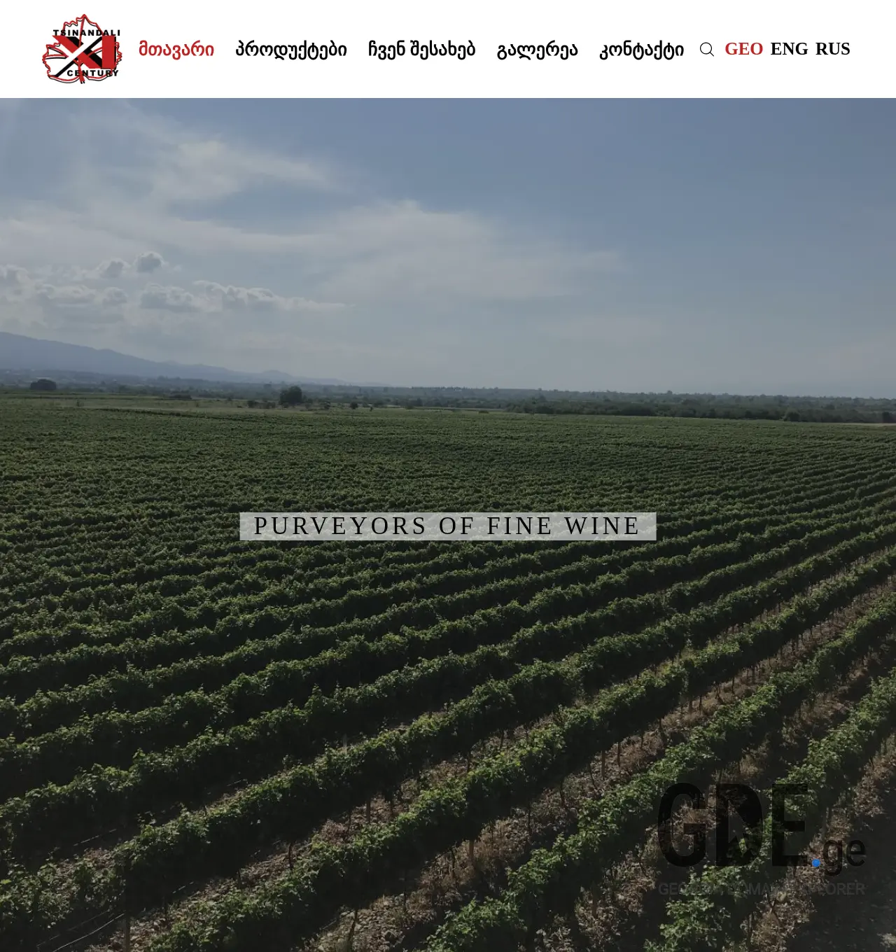 Screenshot of the site tsinandali21.ge at 2025-11-29