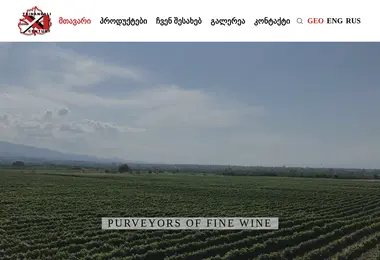 Screenshot of tsinandali21.ge
