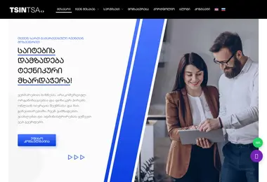 Screenshot of tsintsa.ge