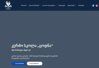 Скриншот tsodna.edu.ge