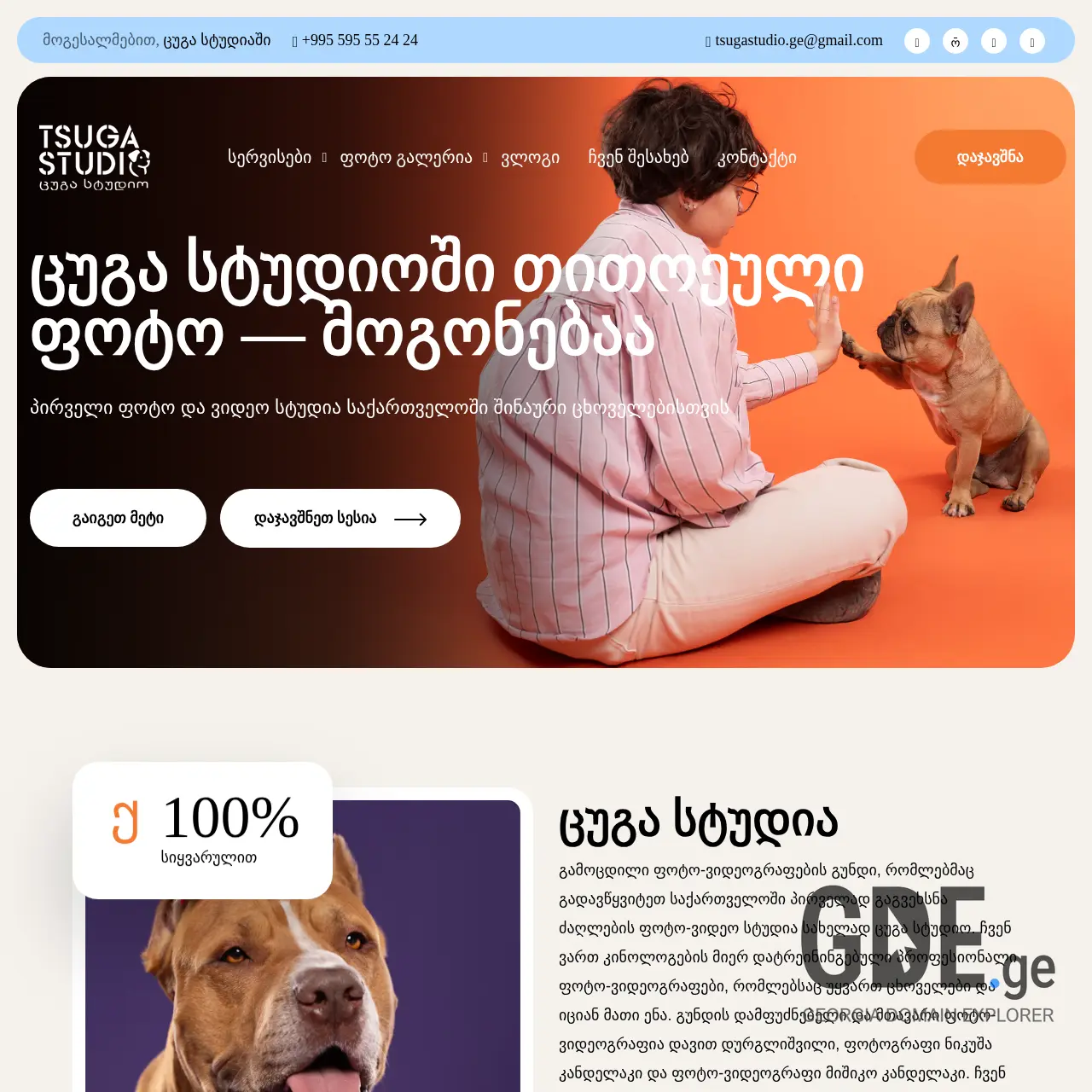 Screenshot of the site tsugastudio.ge at 2025-12-14