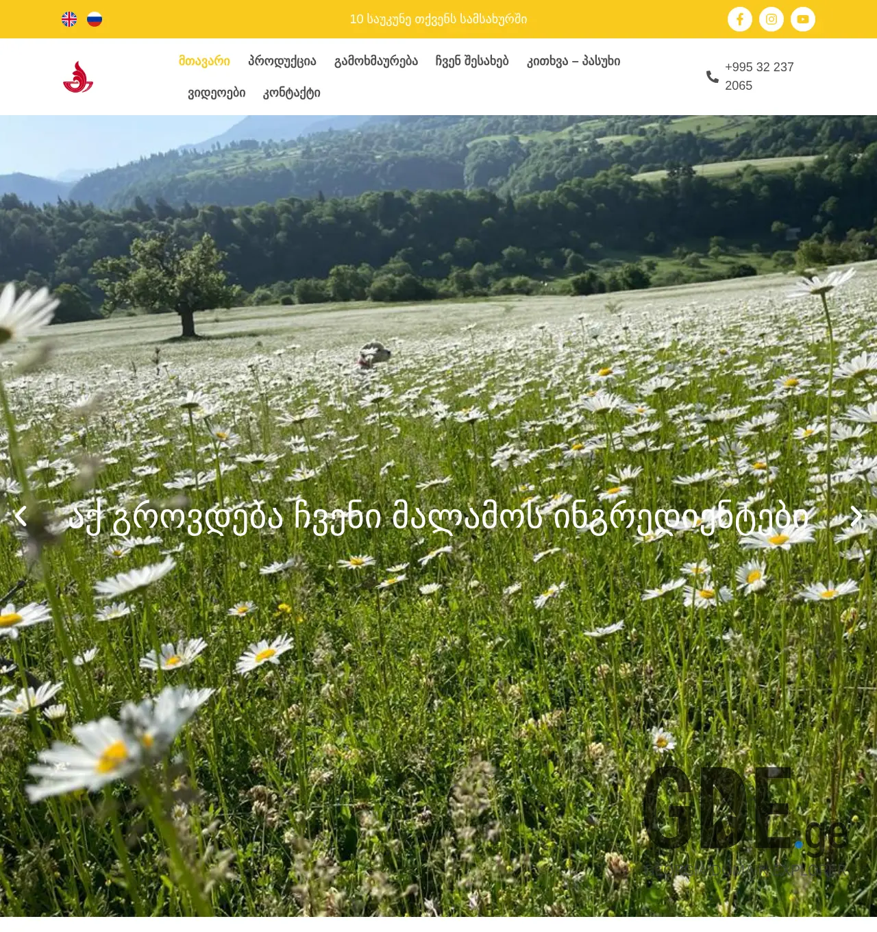 Screenshot of the site turmanidze.ge at 2025-12-01