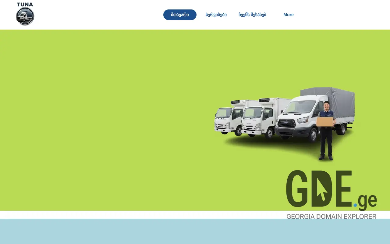 Screenshot of the site tvirtisgadamzidi.ge at 2025-11-28