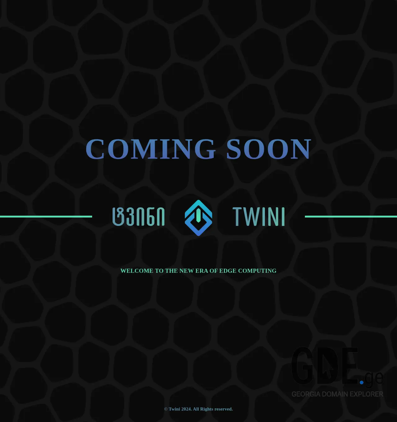 Screenshot of the site twini.ge at 2025-12-03