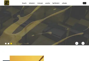 tzgroup.ge-ის ეკრანის სურათი