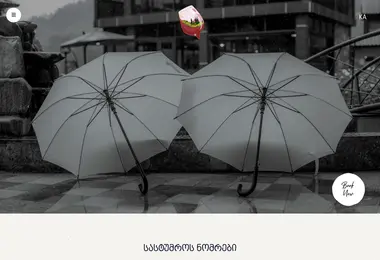 Скриншот vaioresort.ge