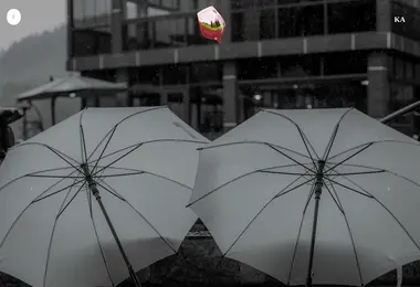 Preview from 13.12.2025