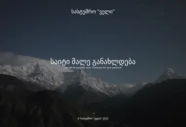 Скриншот valleyhotel.ge