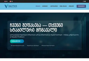 Скриншот valytics.ge