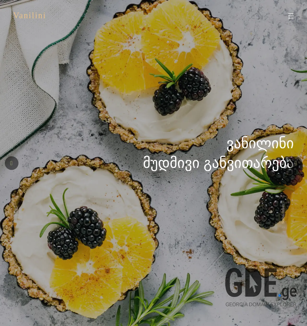 Screenshot of the site vanilini.ge at 2025-11-30