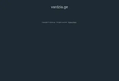 Screenshot of vardzia.ge