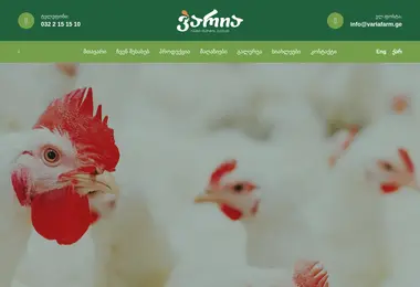 სურათი 12.12.2025-დან