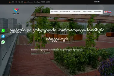 Screenshot of vectorneo.ge
