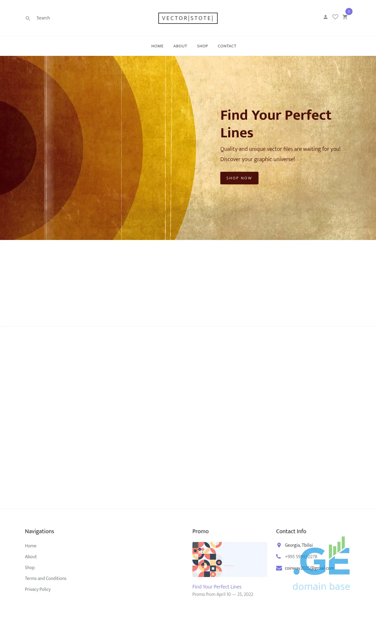 Screenshot of the site vectorstote.ge