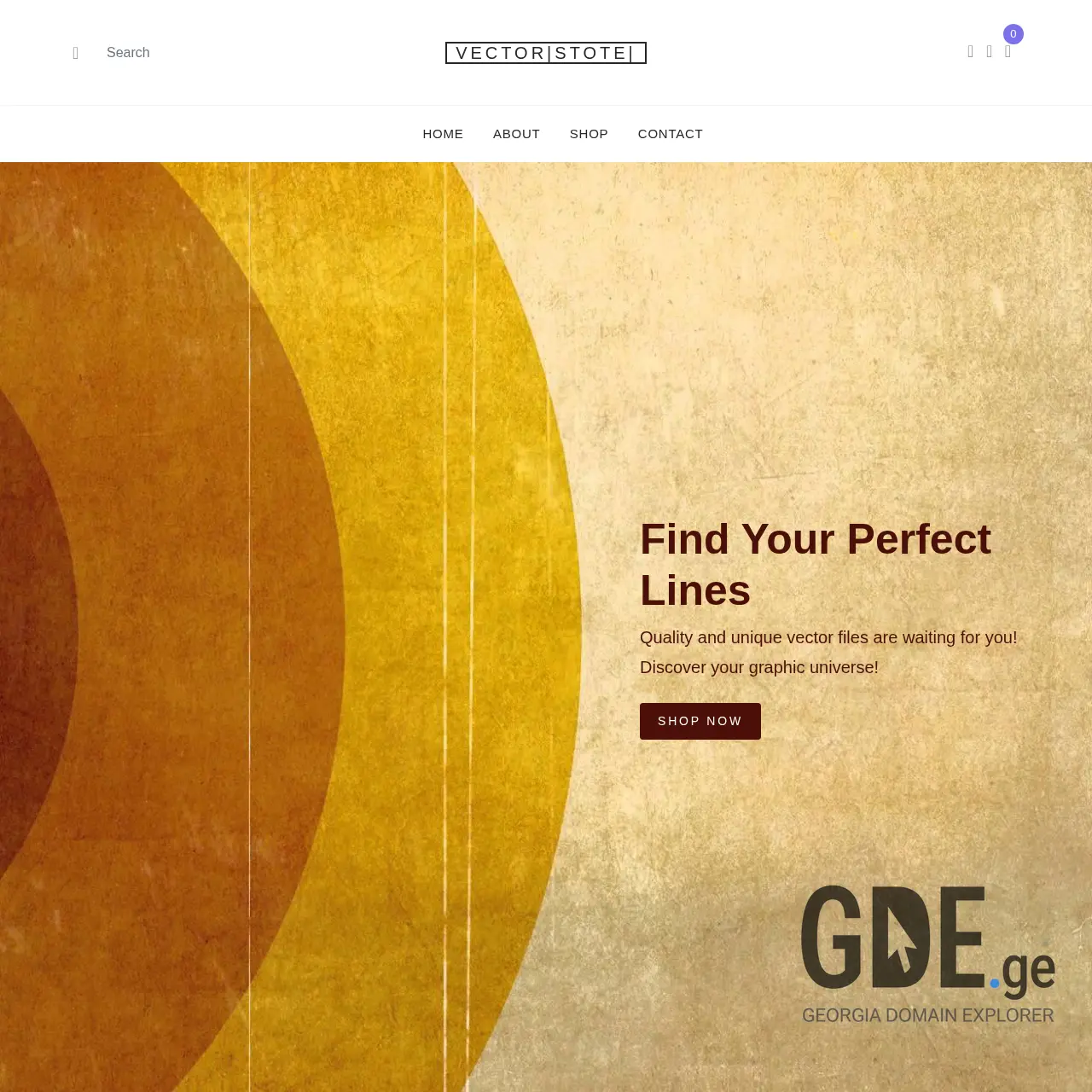 Screenshot of the site vectorstote.ge at 2025-12-13