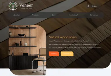 Screenshot of veneer.ge