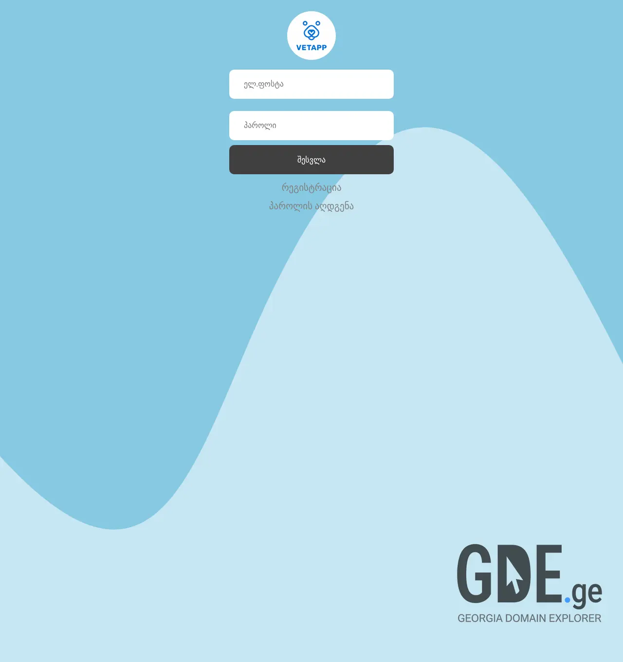 Screenshot of the site vet-app.ge at 2025-12-06