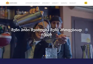 Screenshot of vet.ge