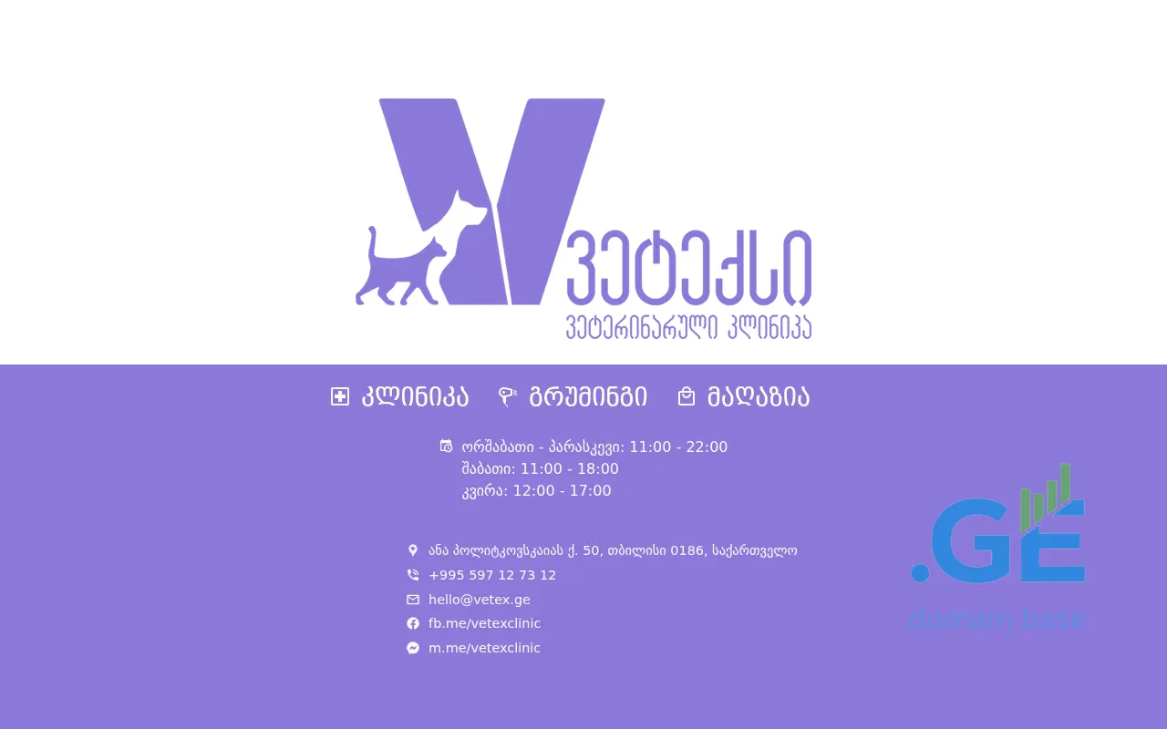 Screenshot of the site vetex.ge