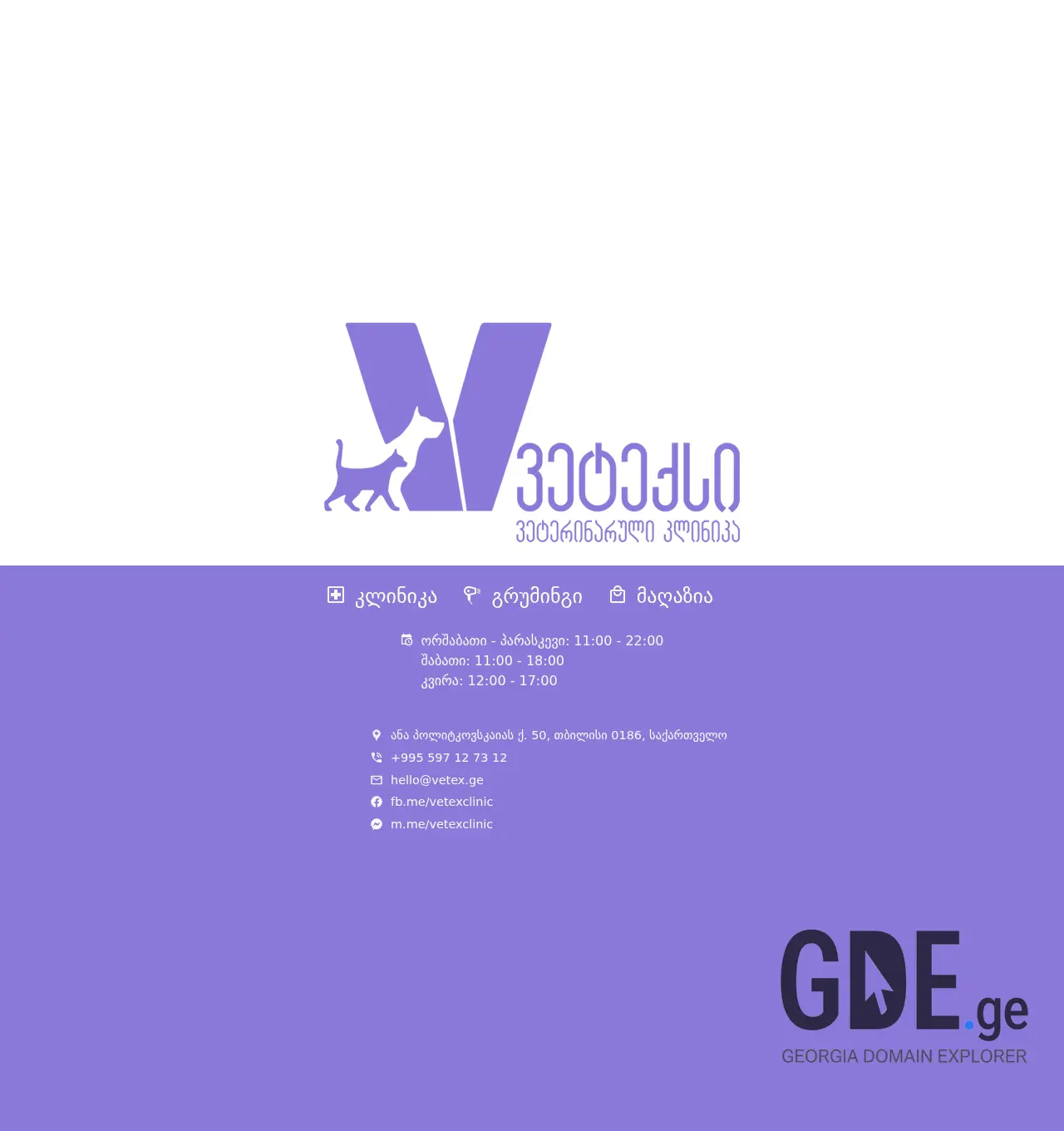 Screenshot of the site vetex.ge at 2025-12-03