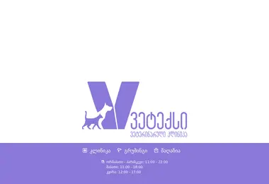 vetex.ge-ის ეკრანის სურათი