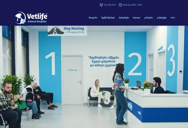 Screenshot of vetlife.ge