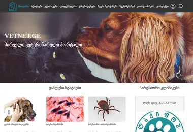 Screenshot of vetnet.ge