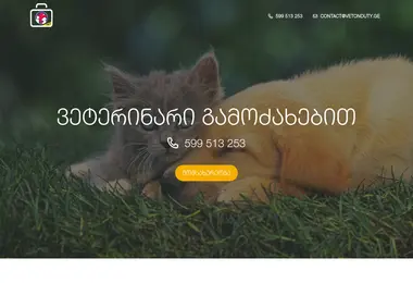 Screenshot of vetonduty.ge