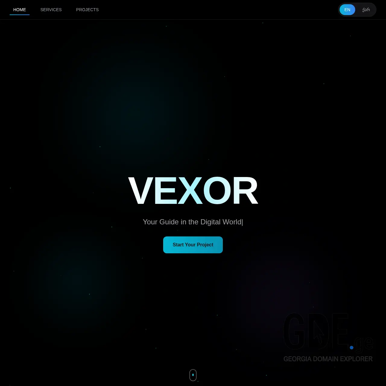 Screenshot of the site vexor.ge at 2025-12-15