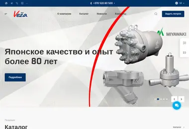 Скриншот veza-e.ge