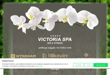 Скриншот victoriaspa.ge
