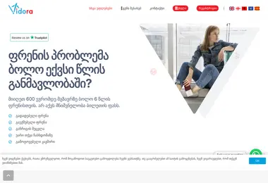 vidora.ge-ის ეკრანის სურათი