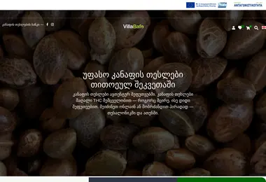 Screenshot of villabafo.ge