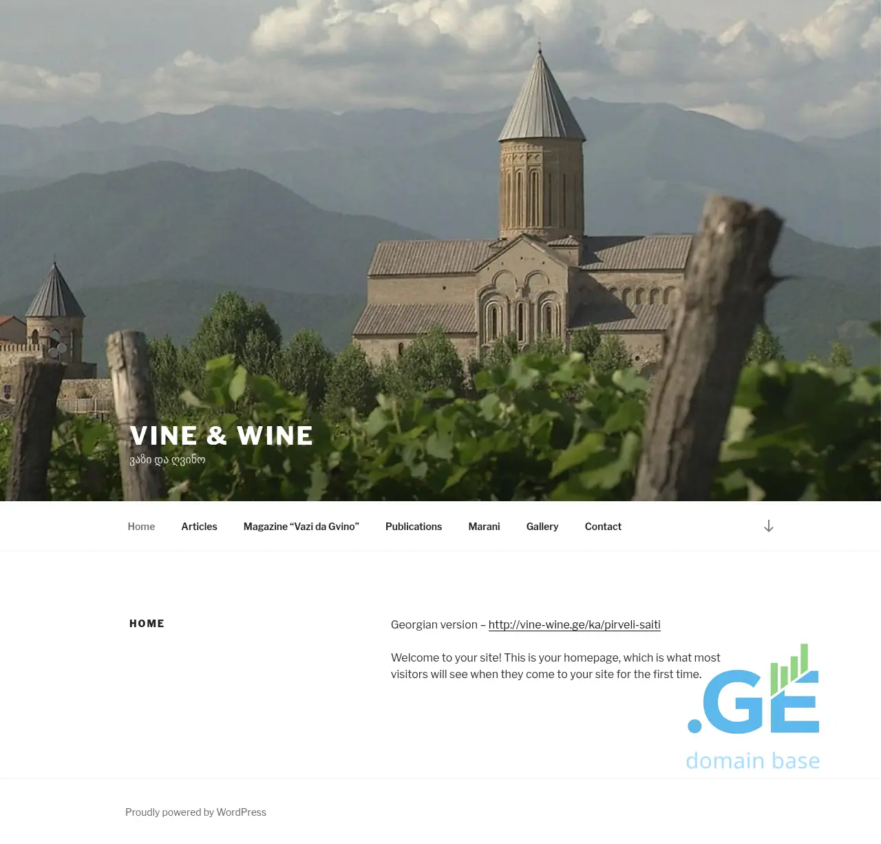 Screenshot of the site vine-wine.ge