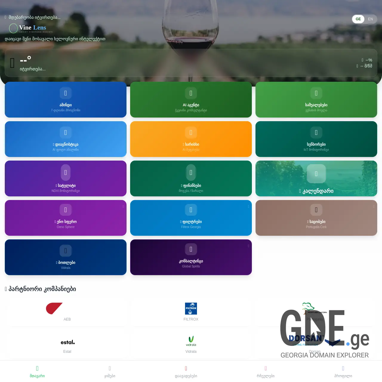 Screenshot of the site vinelens.ge at 2026-02-24