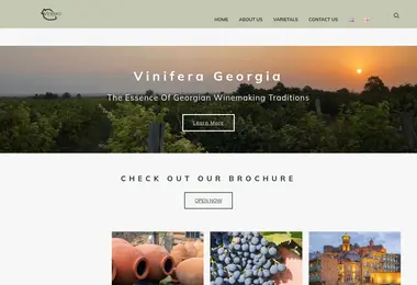 Screenshot of vinifera.ge