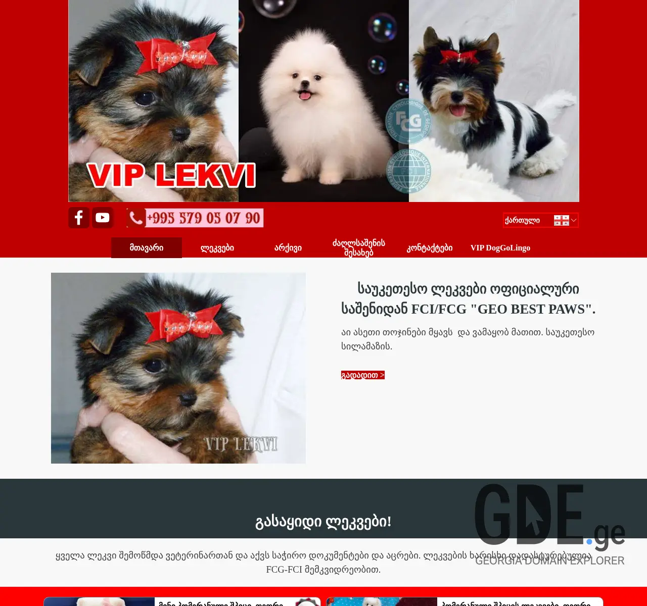 Screenshot of the site viplekvi.ge at 2025-11-25