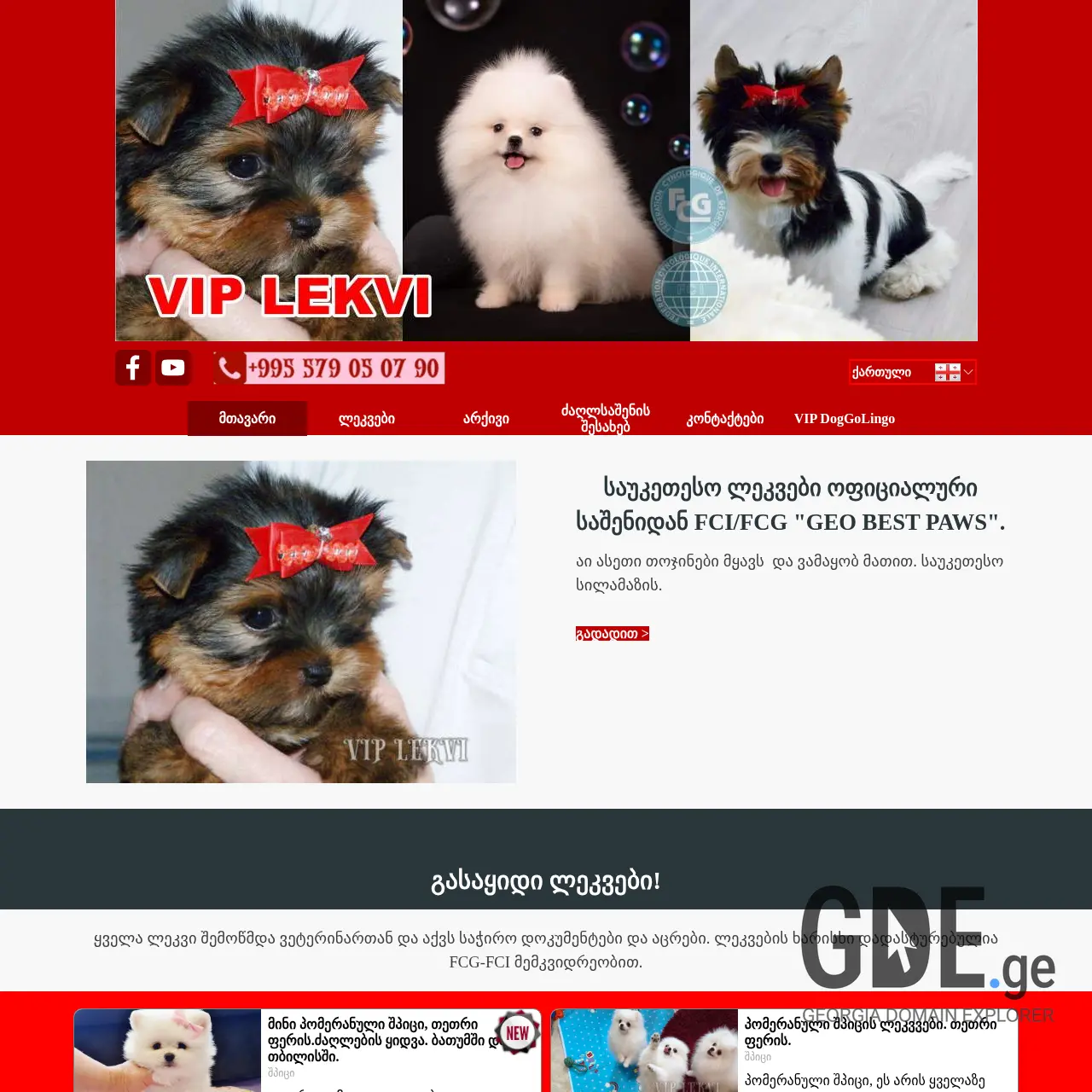 Screenshot of the site viplekvi.ge at 2025-12-15